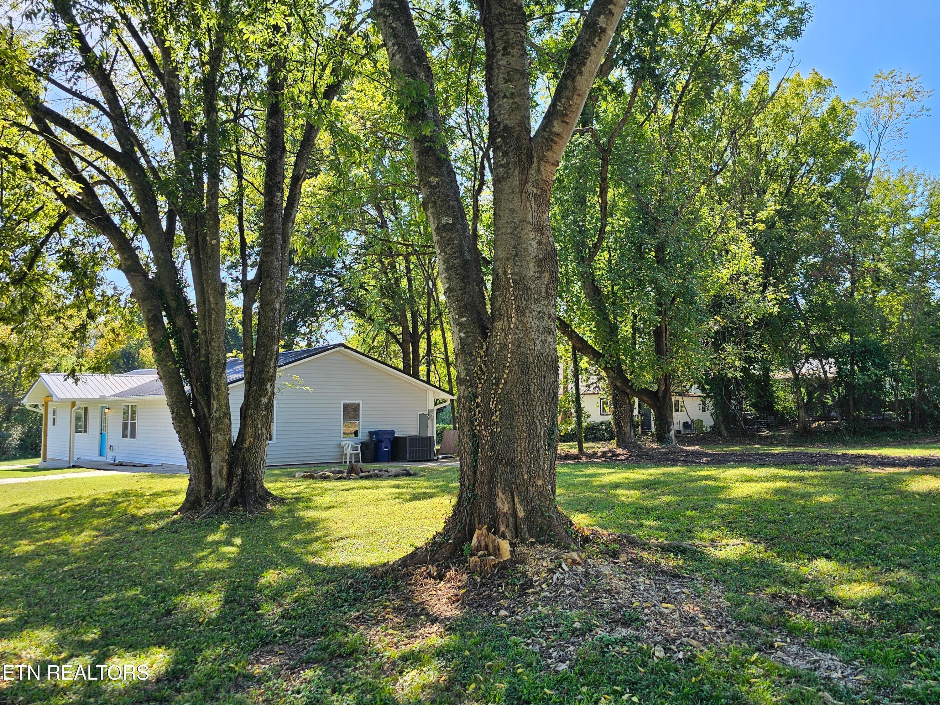 1000062791 - Copy (2) - 321 N Dunlap Ave, Rockwood, TN 37854, Rockwood