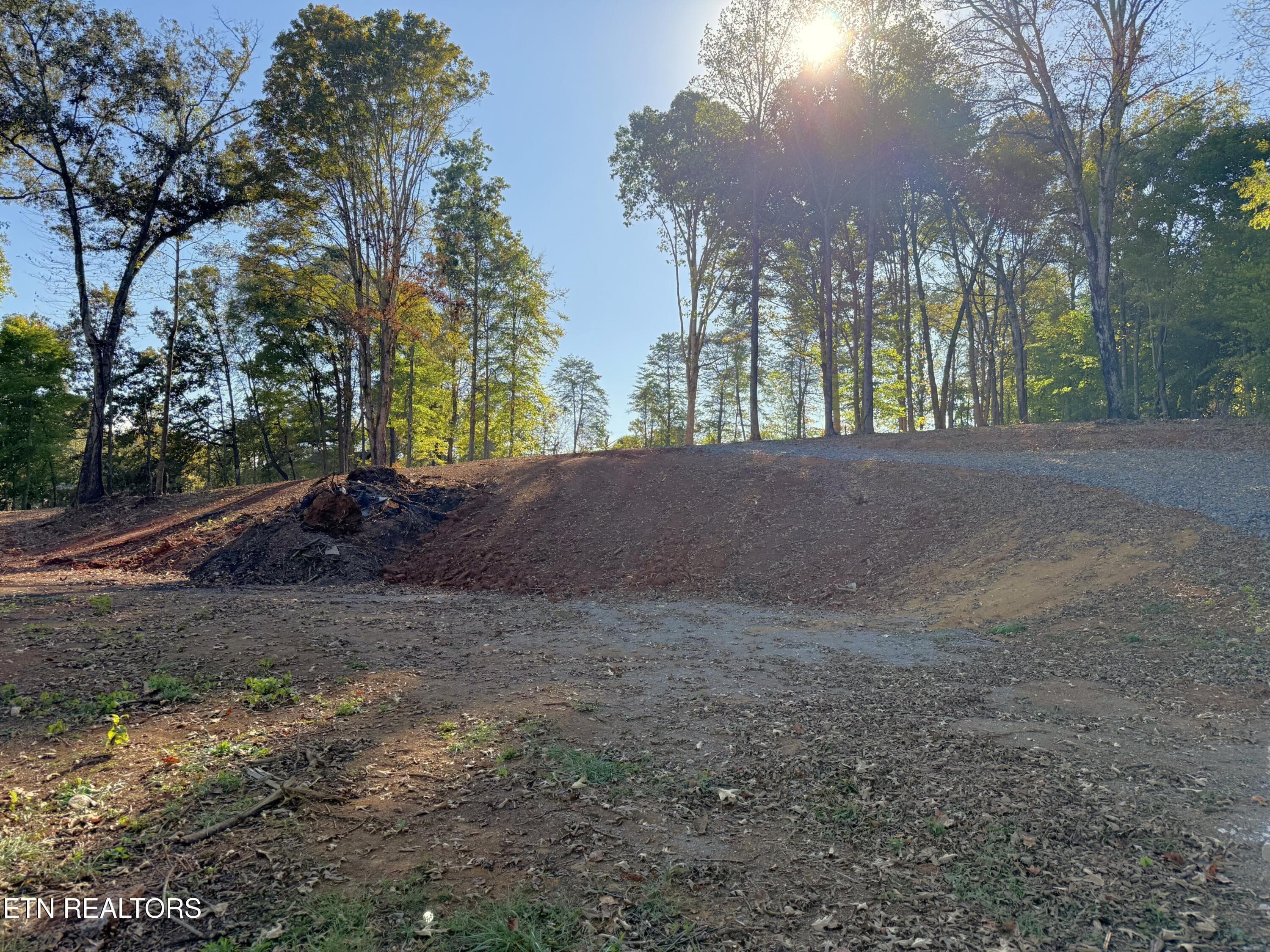 IMG_5292 - 4801 Mint Rd, Maryville, TN 37803, Maryville