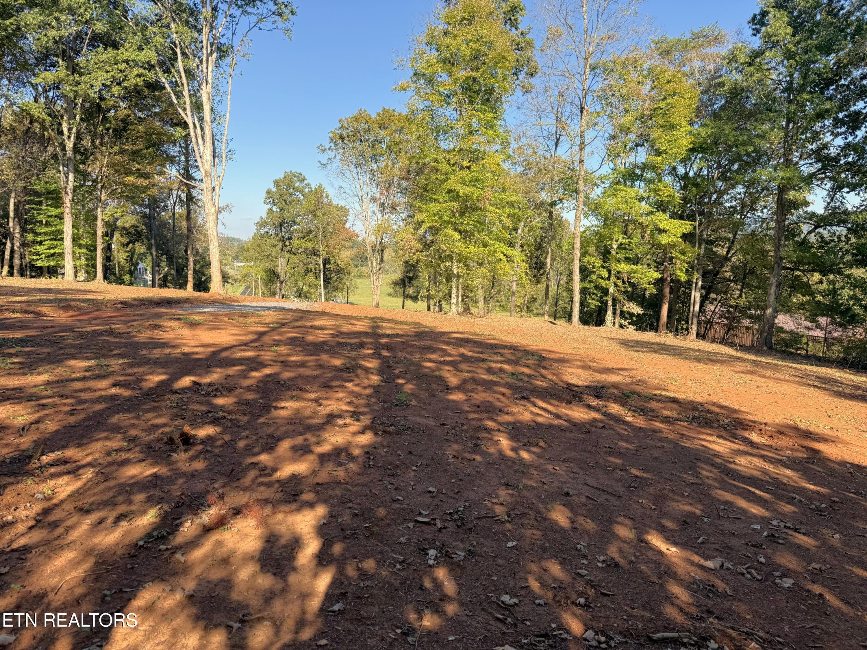 IMG_5293 - 4801 Mint Rd, Maryville, TN 37803, Maryville