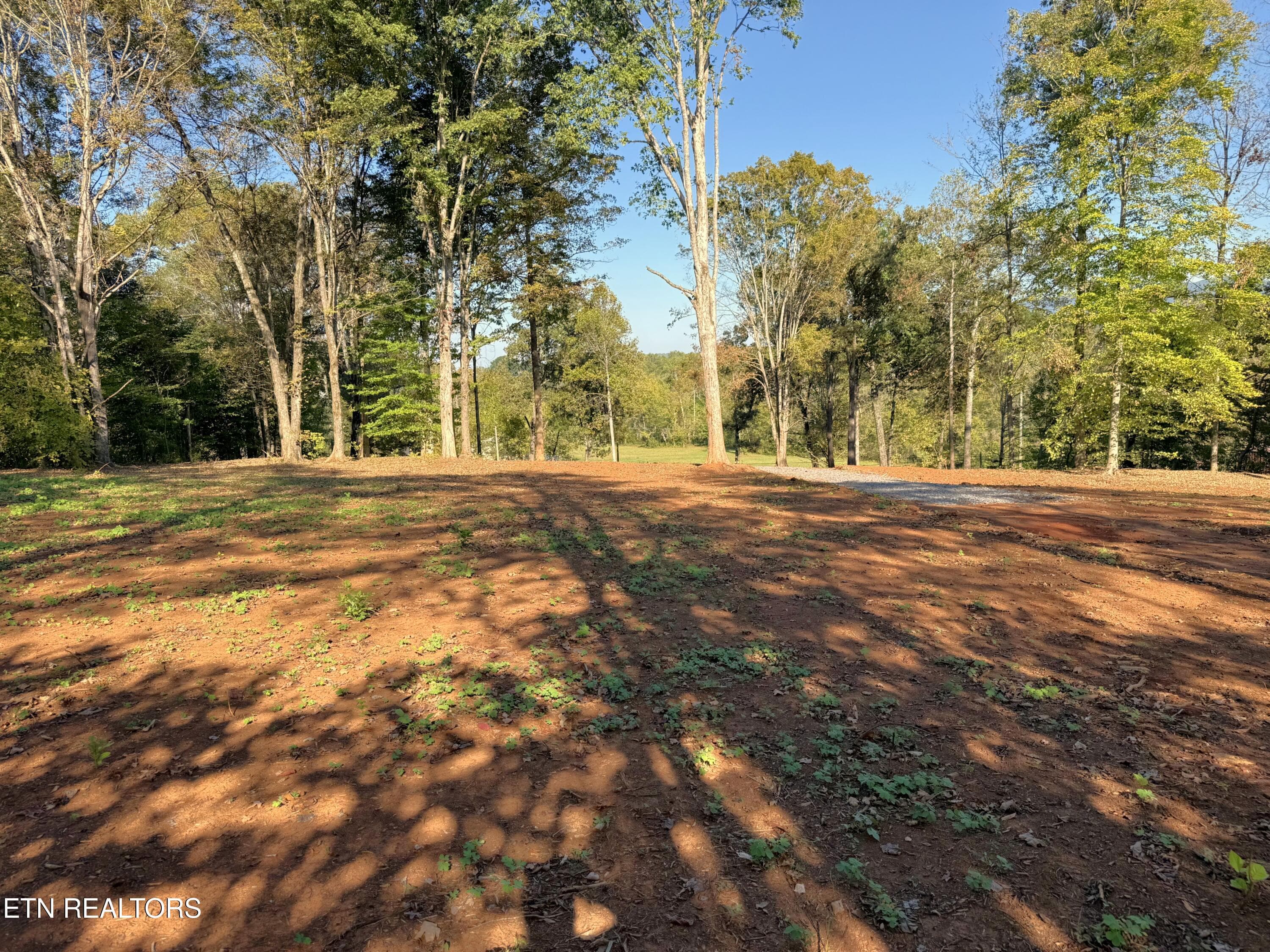 IMG_5294 - 4801 Mint Rd, Maryville, TN 37803, Maryville