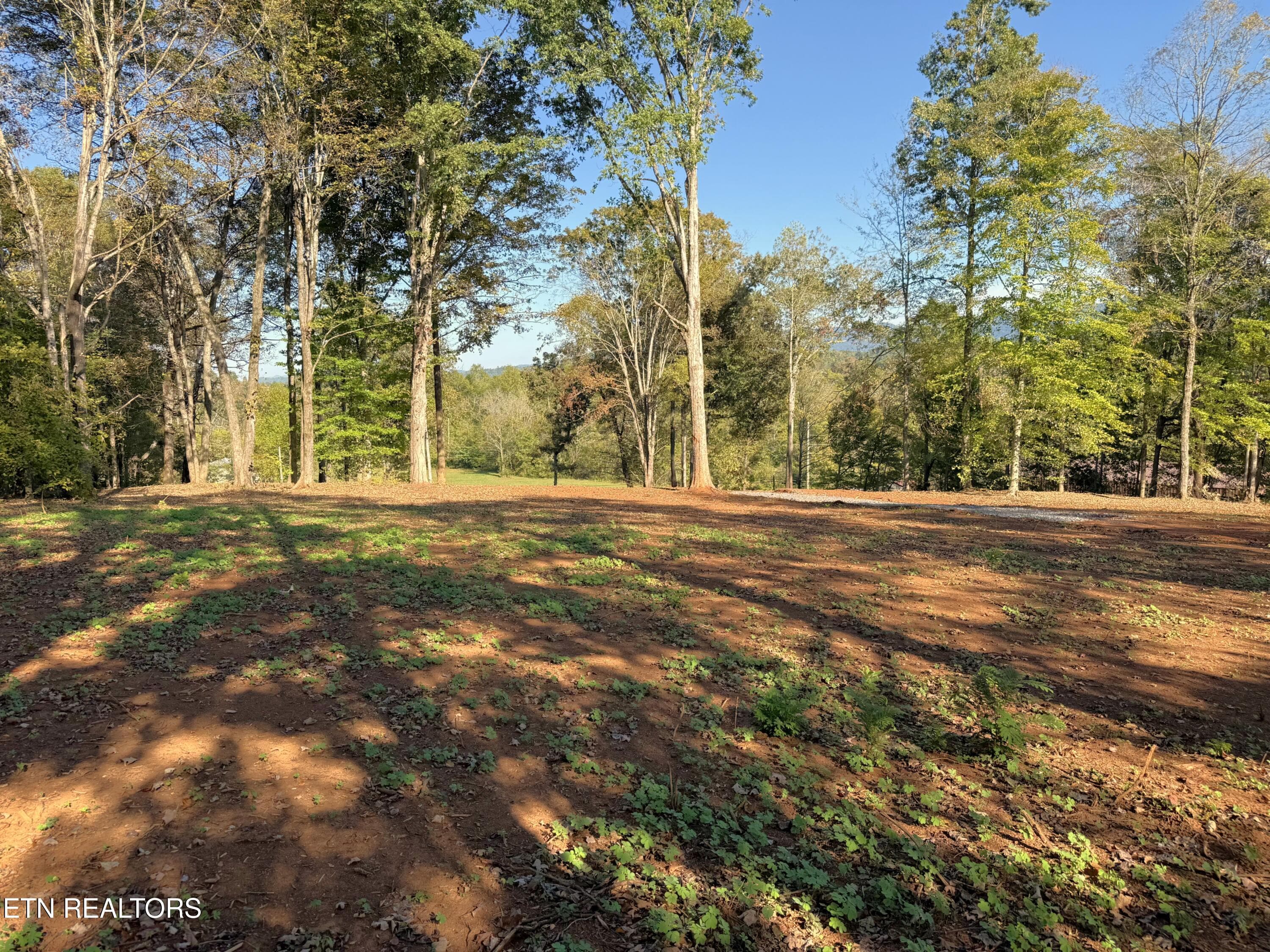 IMG_5295 - 4801 Mint Rd, Maryville, TN 37803, Maryville
