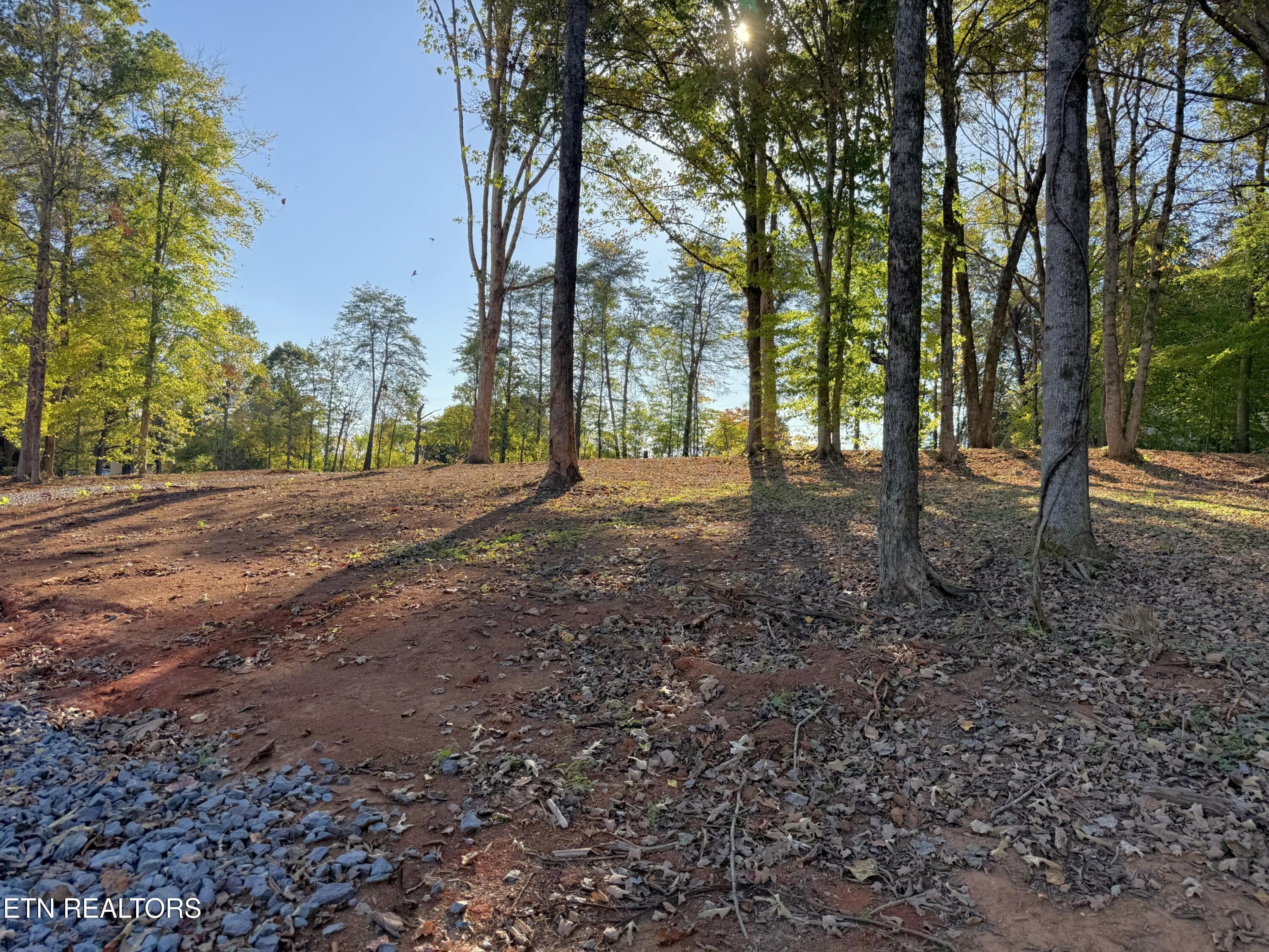 IMG_5296 - 4801 Mint Rd, Maryville, TN 37803, Maryville