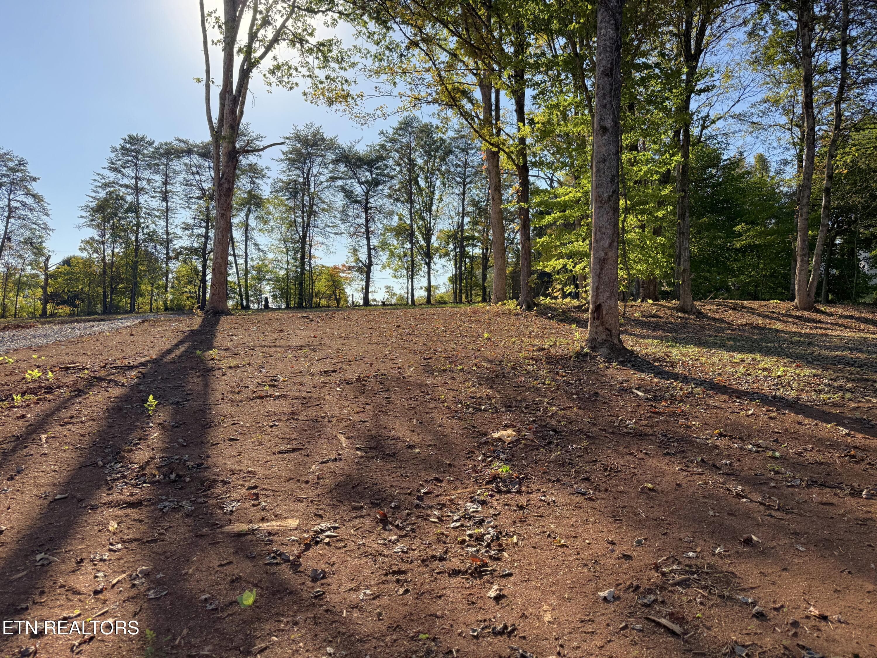 IMG_5298 - 4801 Mint Rd, Maryville, TN 37803, Maryville
