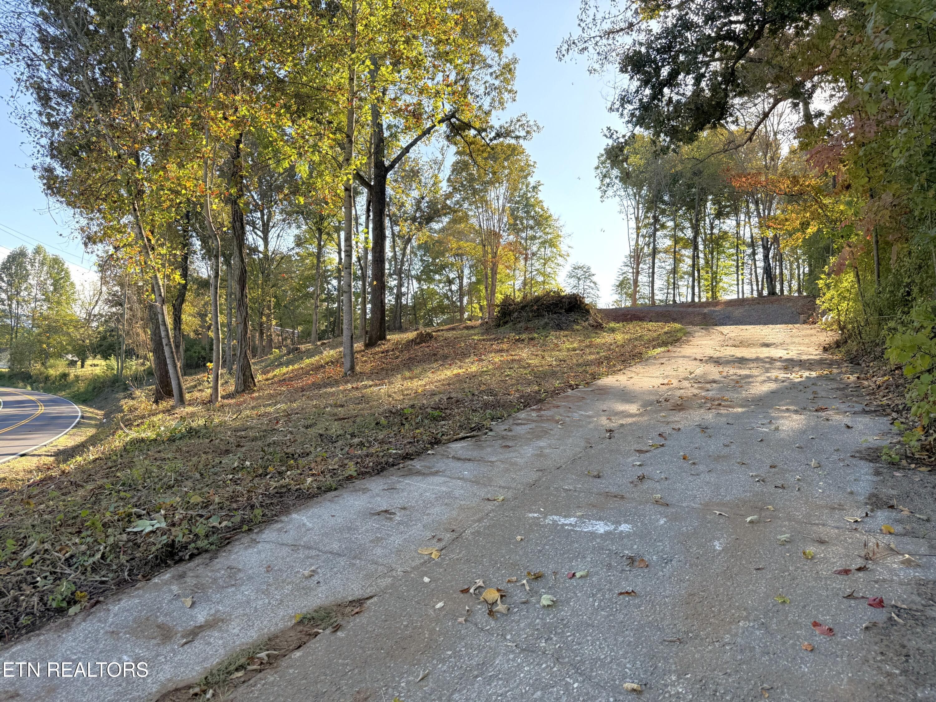 IMG_5305 - 4801 Mint Rd, Maryville, TN 37803, Maryville