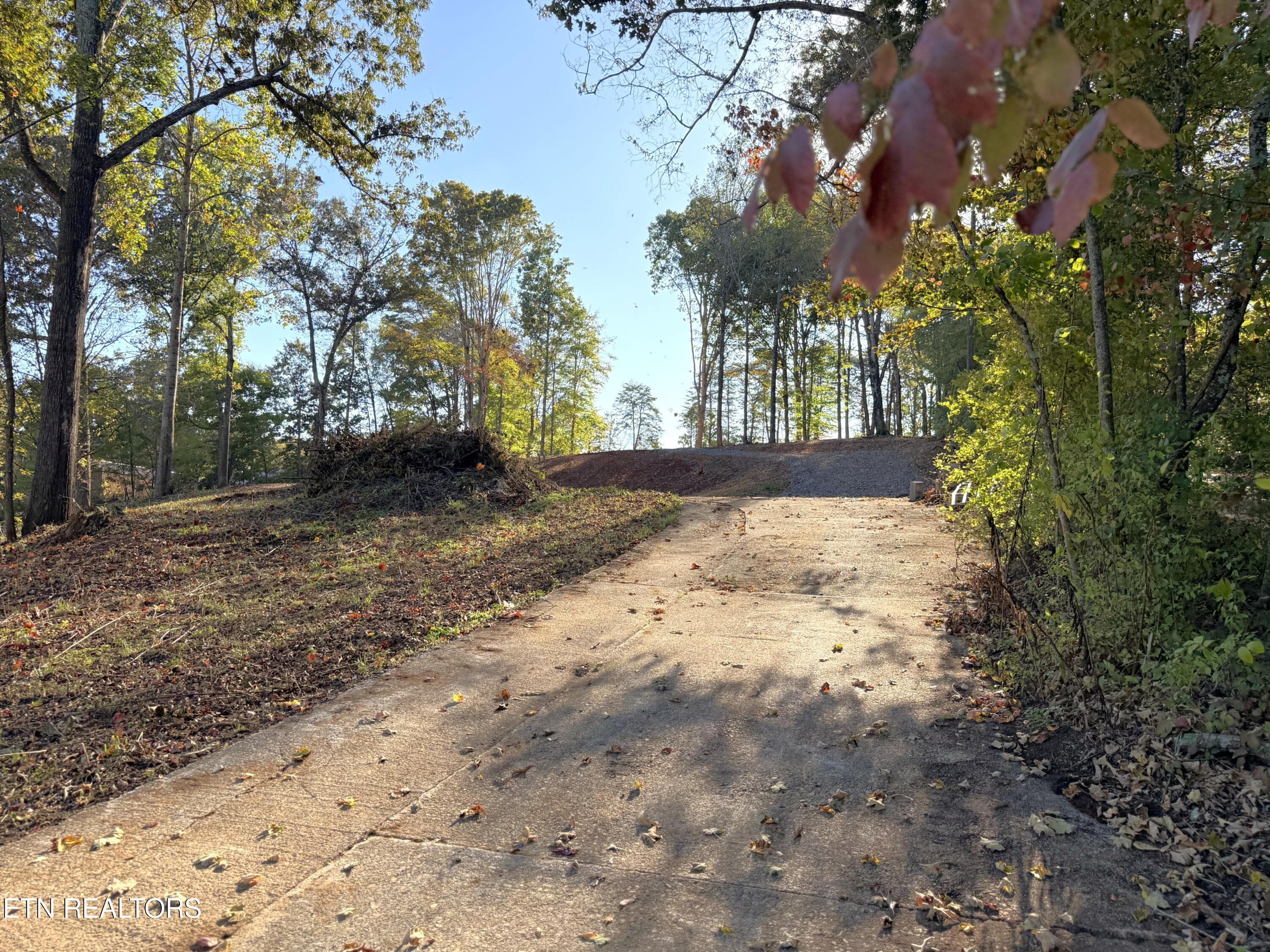 IMG_5306 - 4801 Mint Rd, Maryville, TN 37803, Maryville