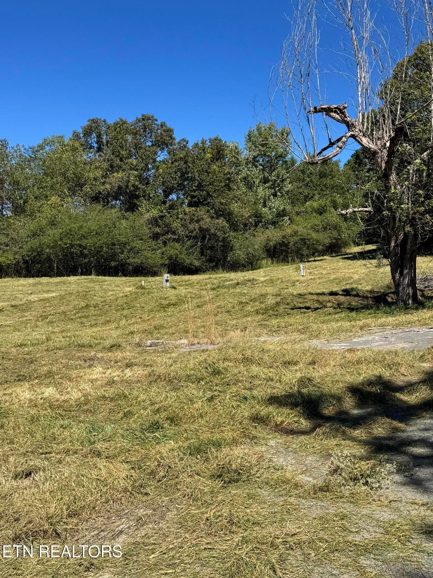 214 Cates Rd - Auction - 214 Cates Rd, Rockwood, TN 37854, Rockwood
