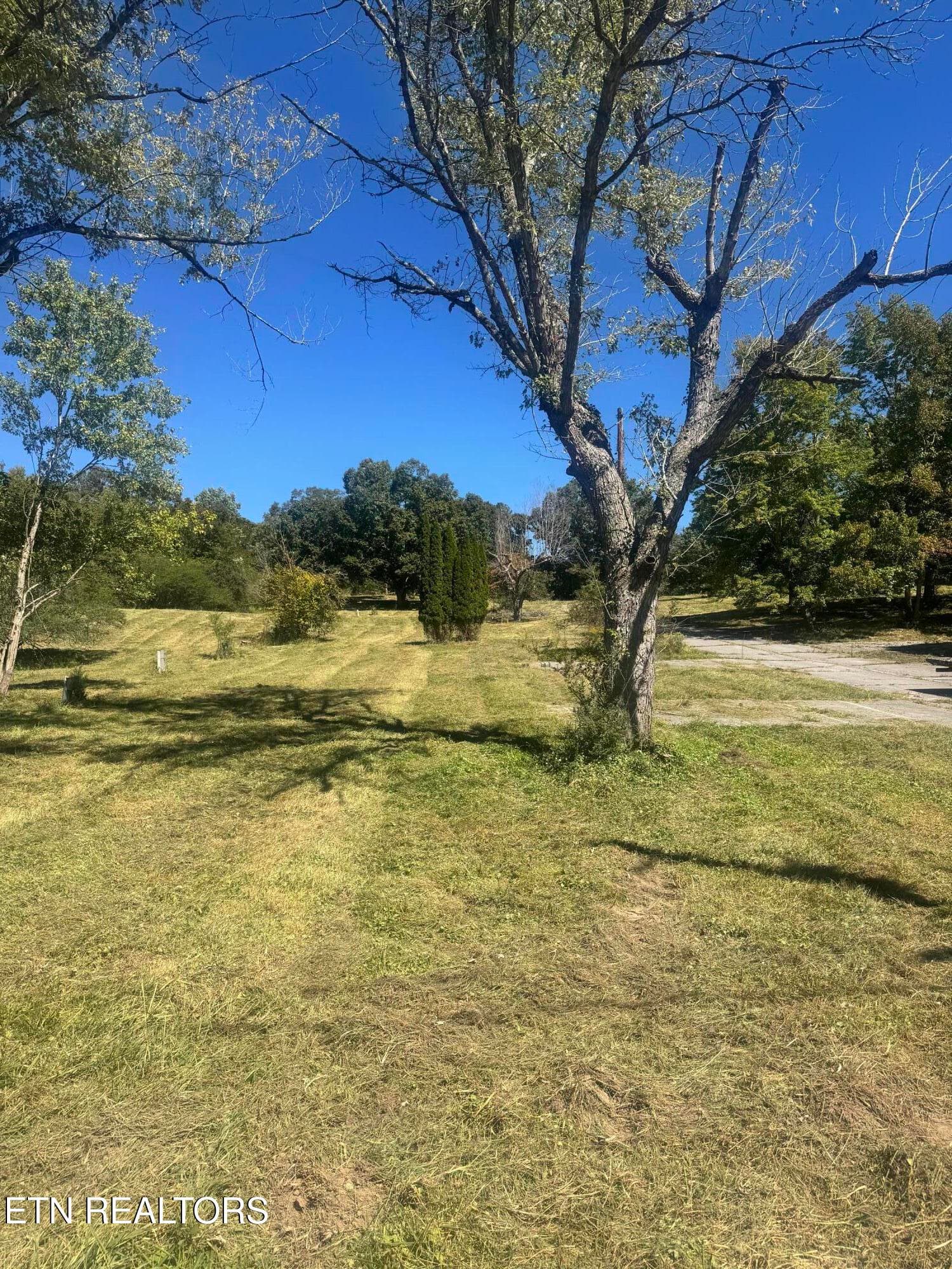 214 Cates Rd - Auction - 214 Cates Rd, Rockwood, TN 37854, Rockwood