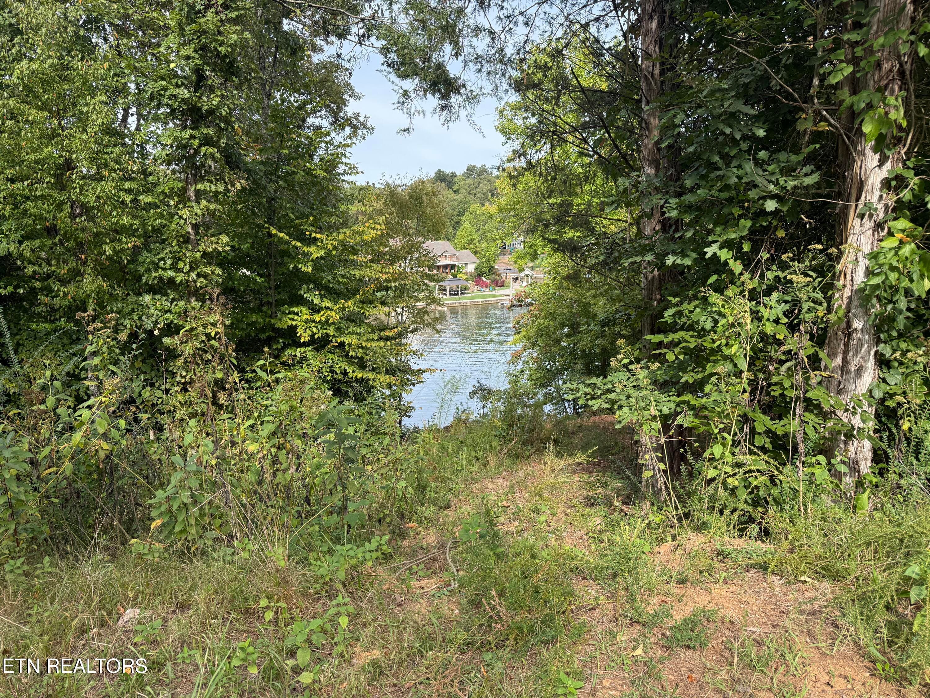 IMG_7153 - 1758 N Wilkerson Rd, Knoxville, TN 37922, Knoxville