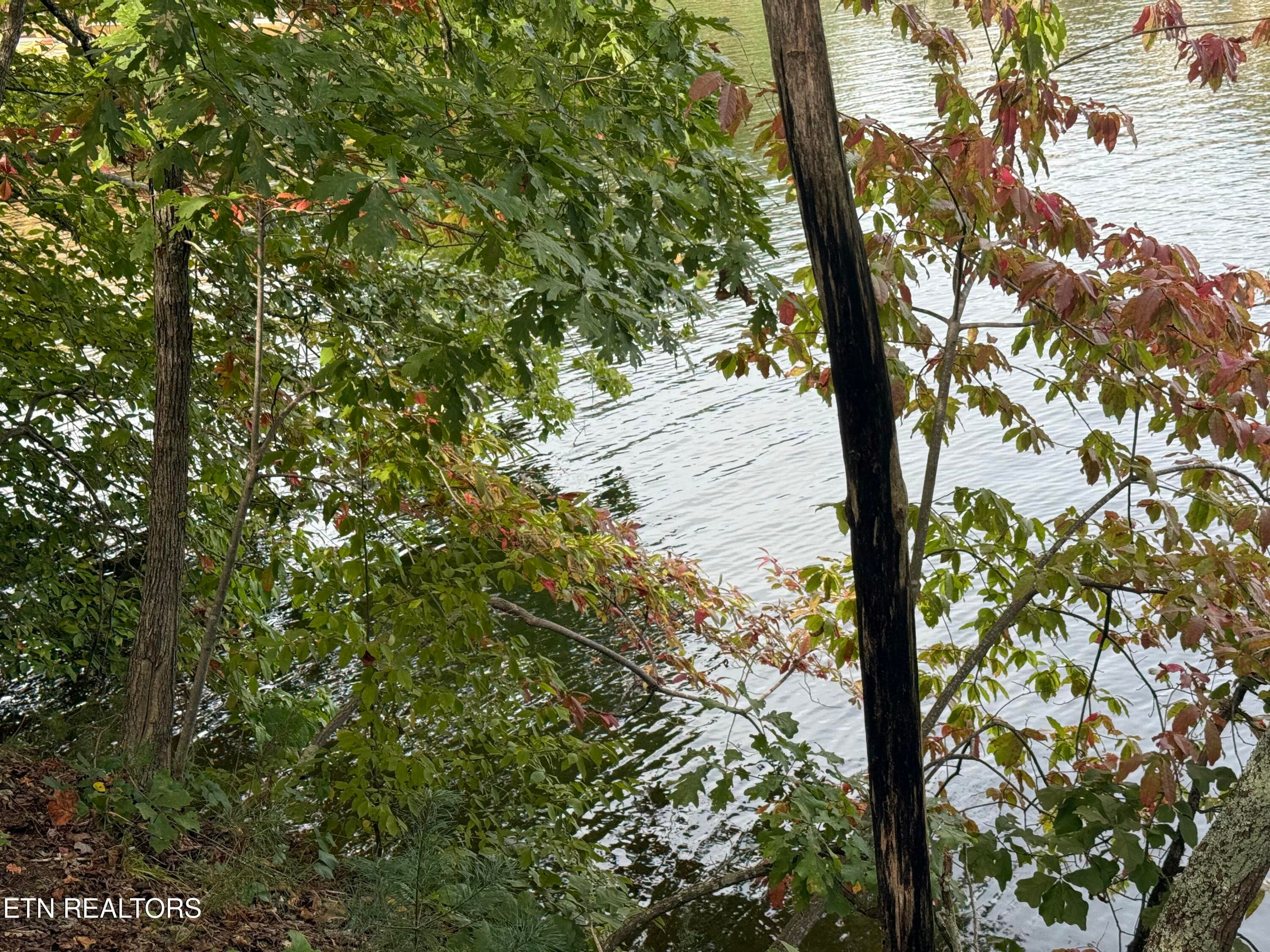 IMG_7148 - 1758 N Wilkerson Rd, Knoxville, TN 37922, Knoxville