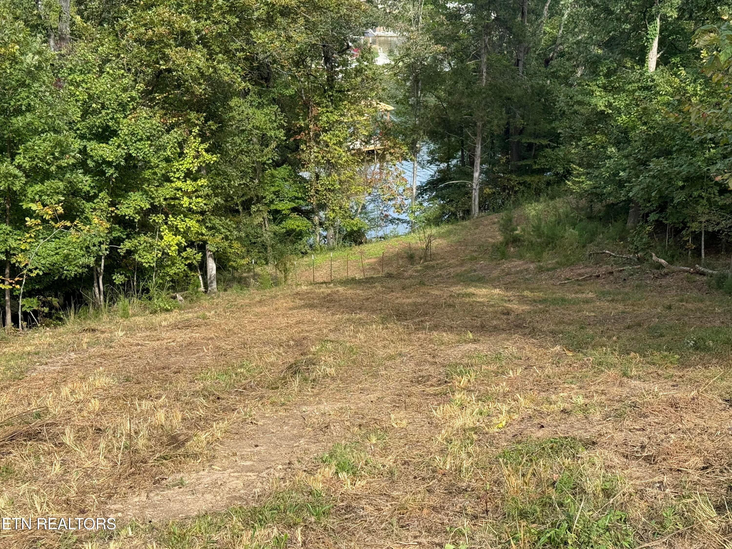 IMG_7145 - 1758 N Wilkerson Rd, Knoxville, TN 37922, Knoxville