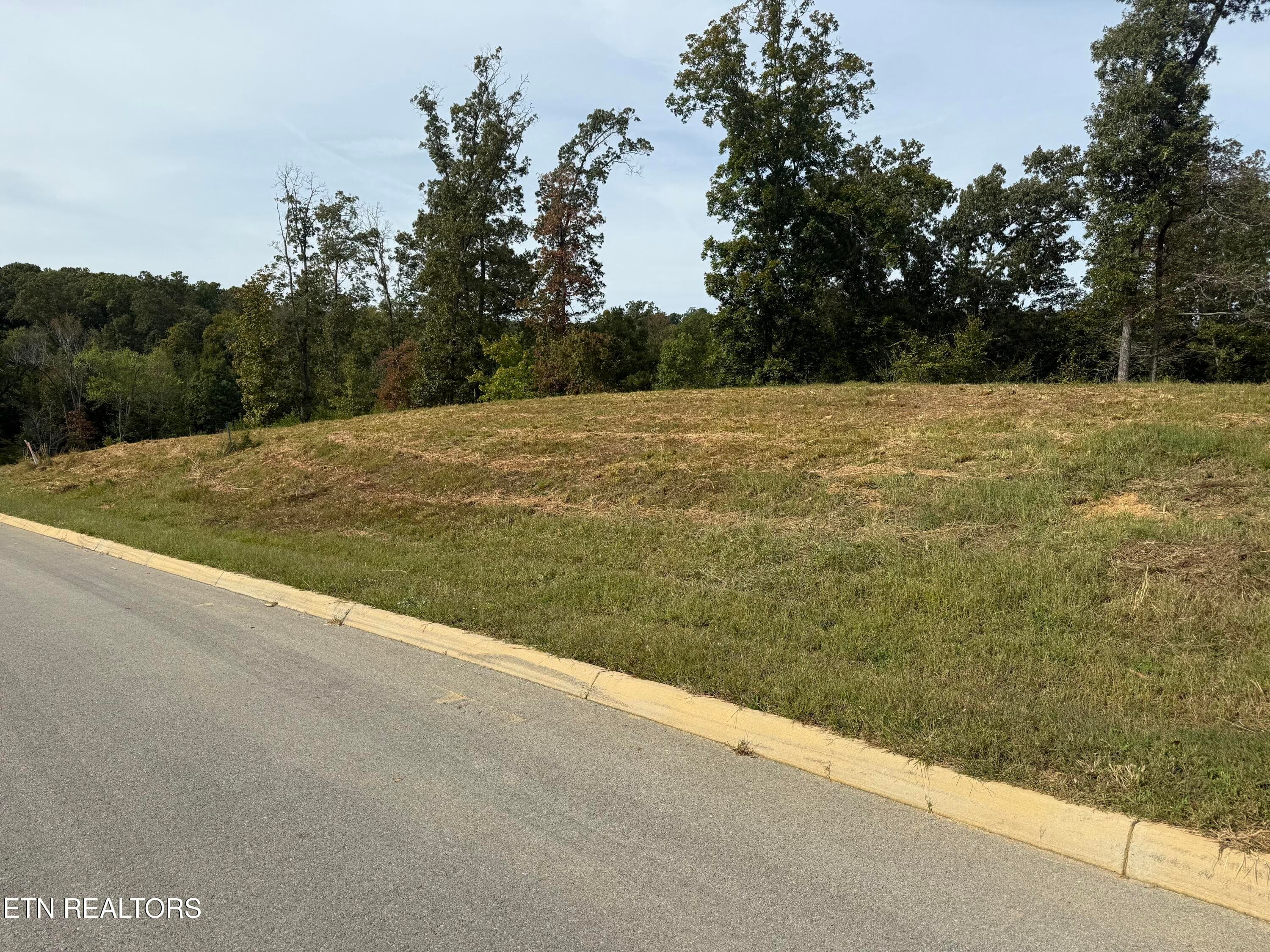 IMG_7142 - 1758 N Wilkerson Rd, Knoxville, TN 37922, Knoxville