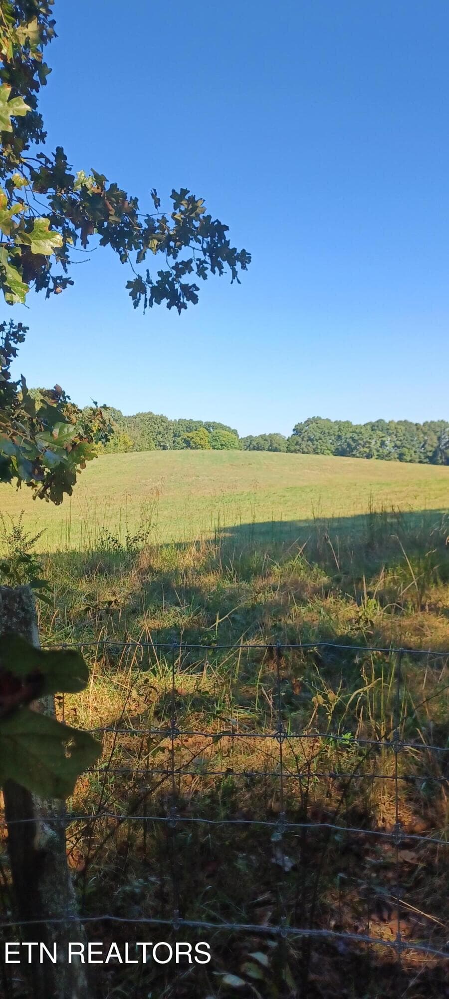 1000024250 - 807 Adkins Rd, Philadelphia, TN 37846, Philadelphia