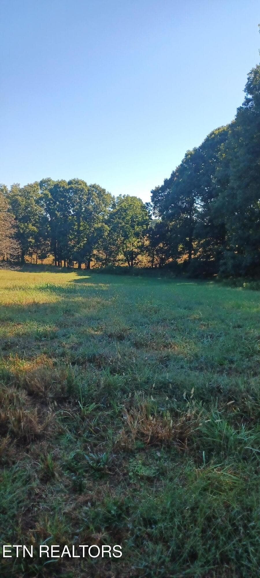 1000024258 - 807 Adkins Rd, Philadelphia, TN 37846, Philadelphia