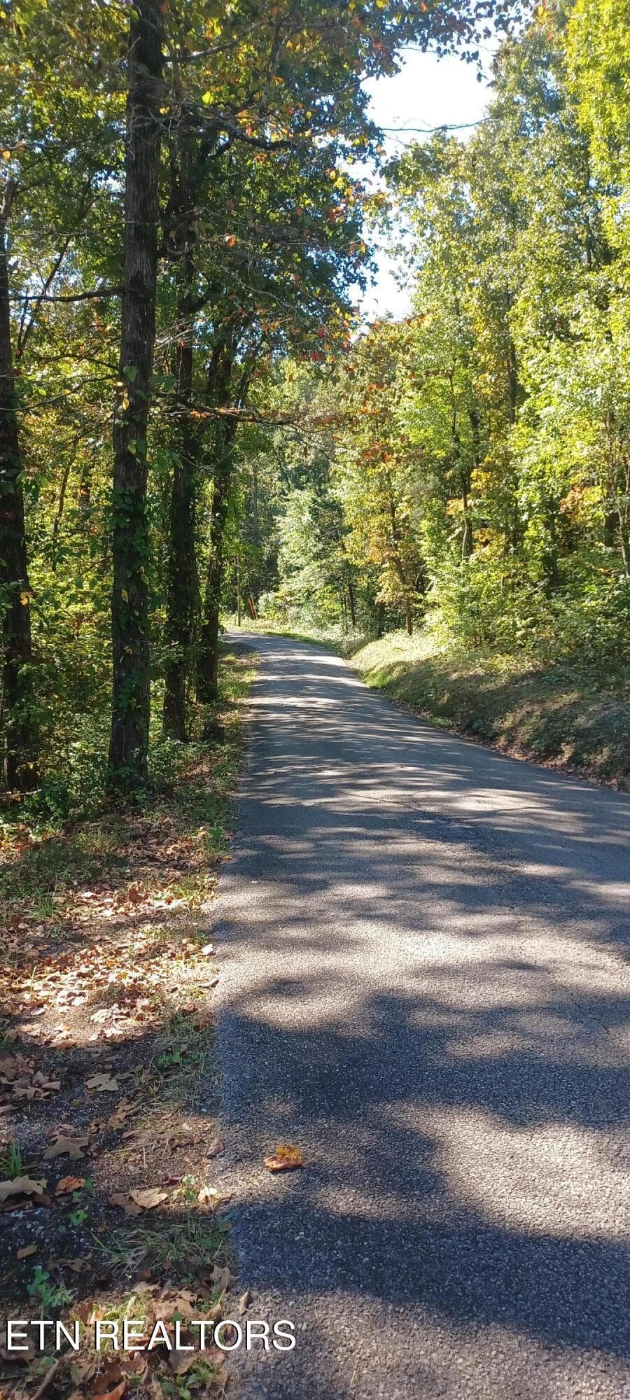 1000024275 - 807 Adkins Rd, Philadelphia, TN 37846, Philadelphia