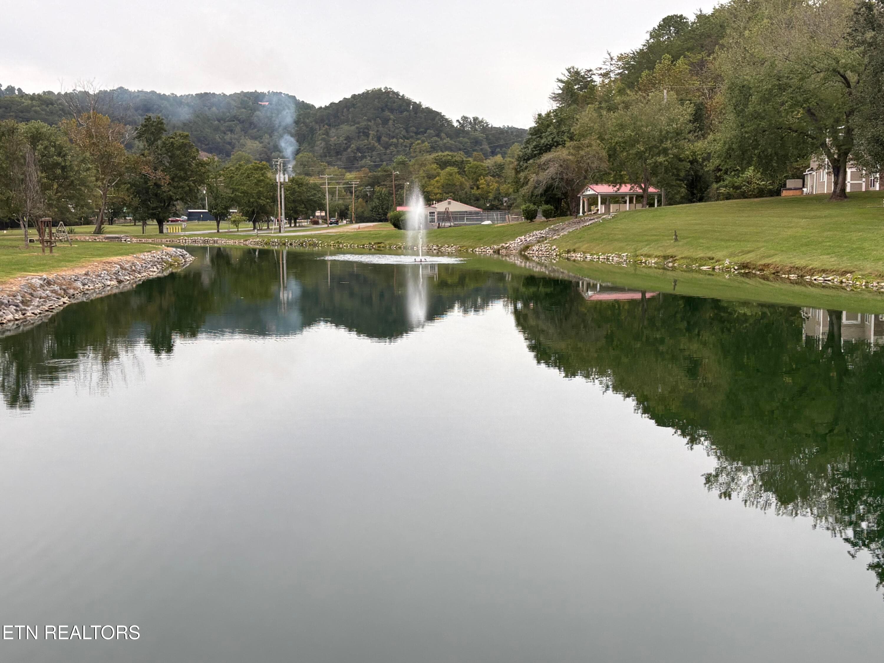 Pond - 760 Big Valley Blvd, Townsend, TN 37882, Townsend