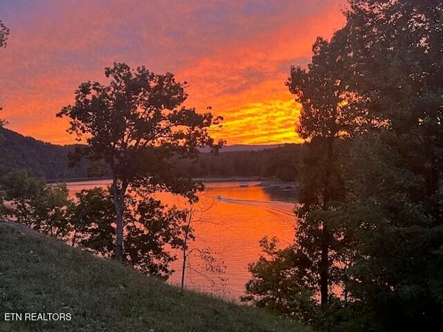 - - 1765 Cove Pointe Rd, LaFollette, TN 37766, LaFollette