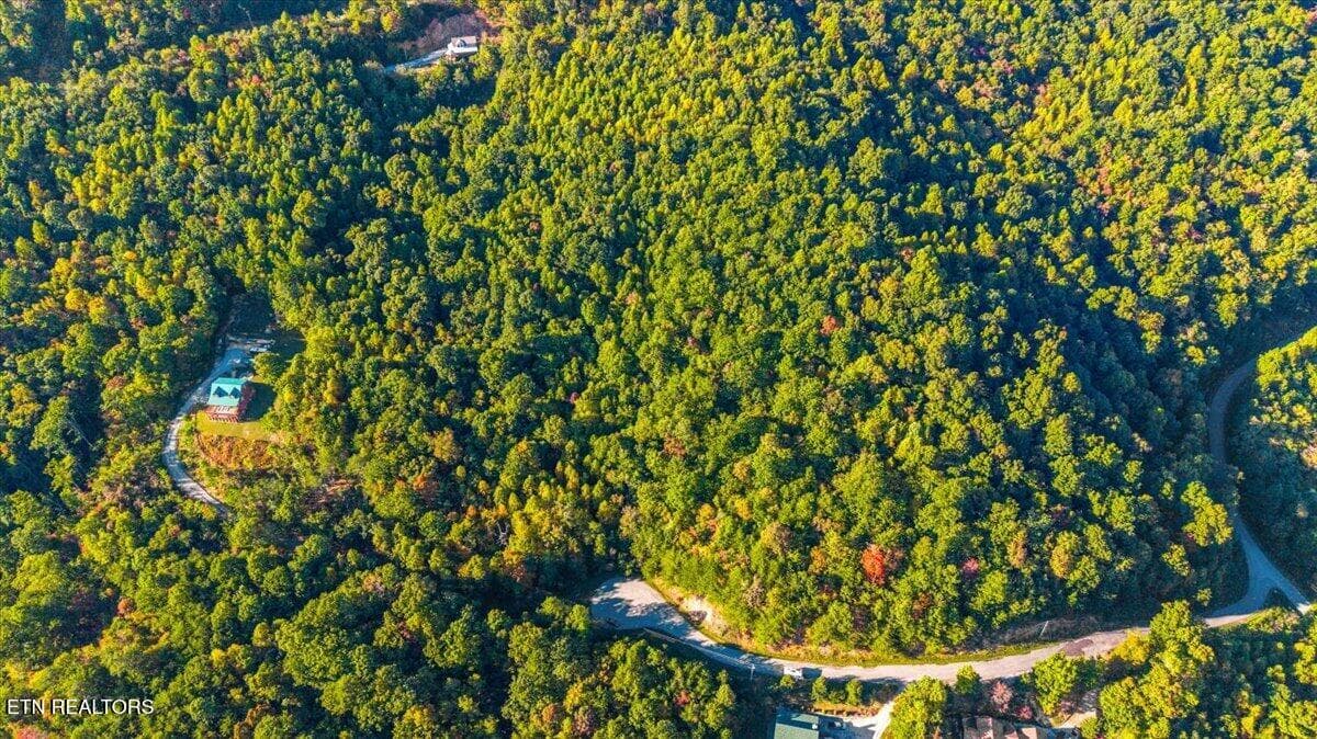 10-Hidden Springs Rd - Lot 508 Hidden Springs Rd, New Tazewell, TN 37825, New Tazewell