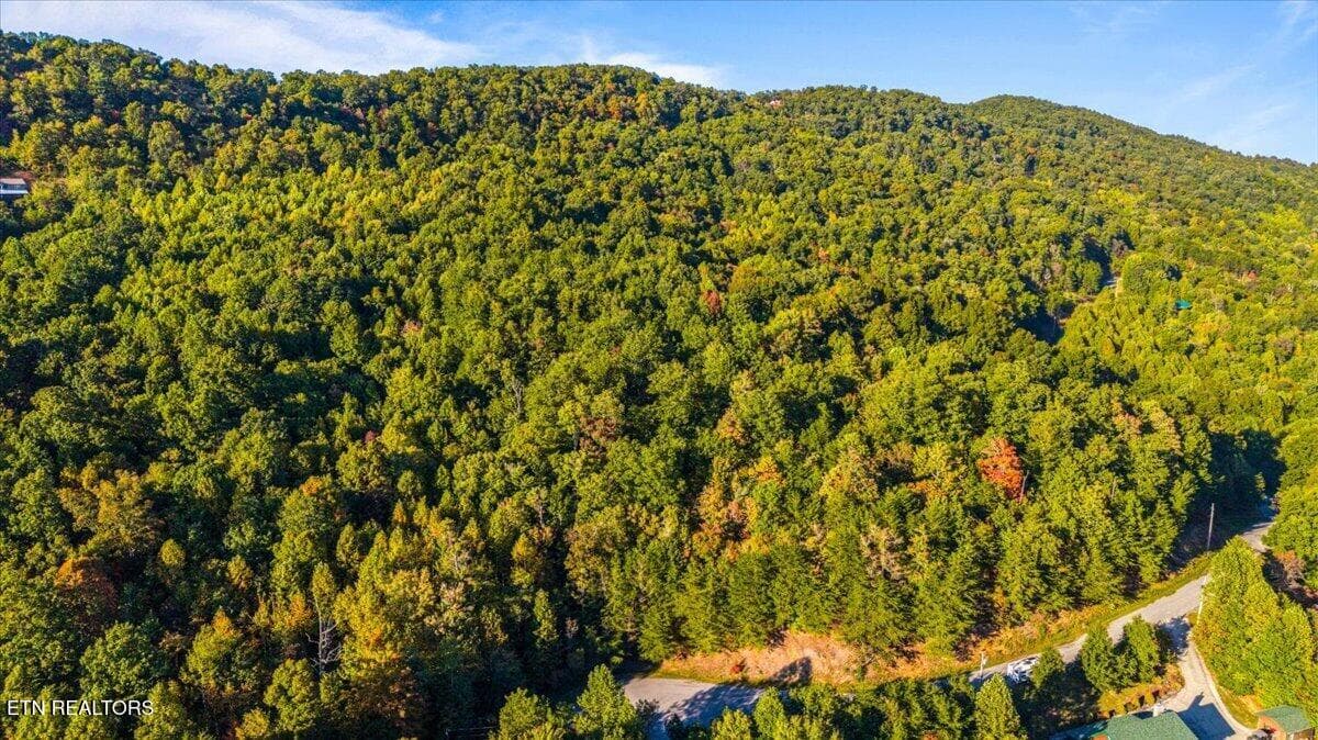 15-Hidden Springs Rd - Lot 508 Hidden Springs Rd, New Tazewell, TN 37825, New Tazewell