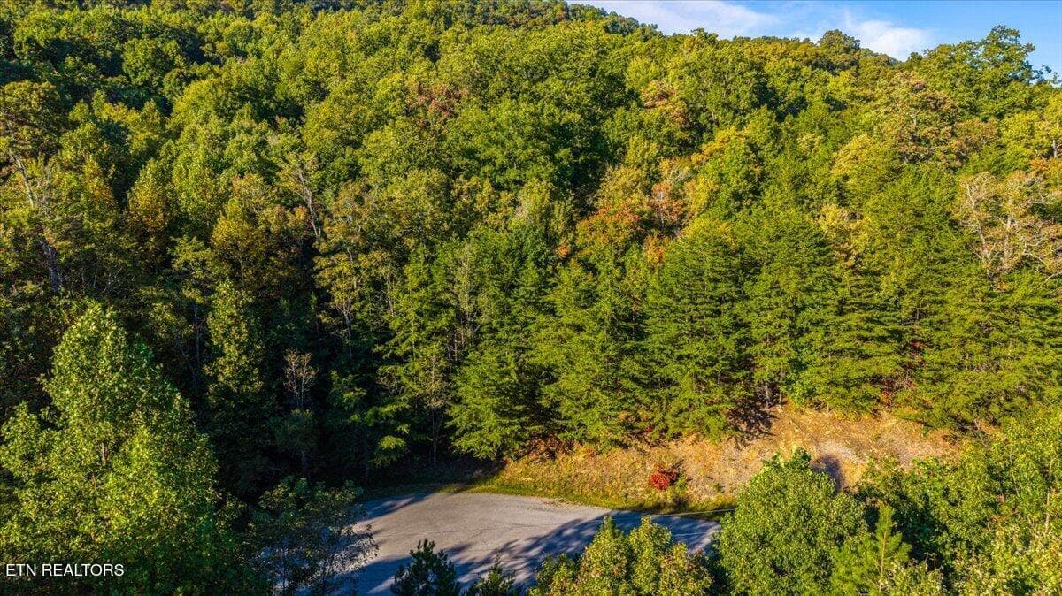 16-Hidden Springs Rd - Lot 508 Hidden Springs Rd, New Tazewell, TN 37825, New Tazewell