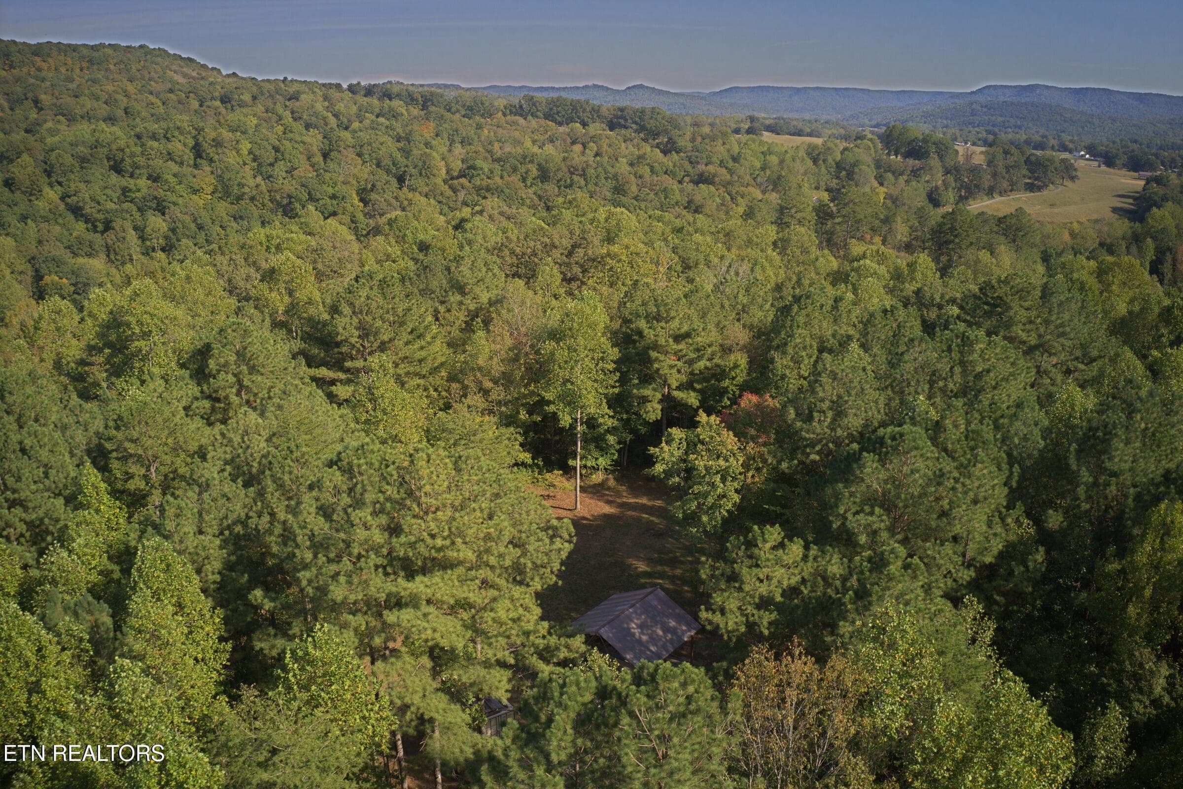 1192_shellotte_10 - 1192 Shellotte Loop Rd, Pall Mall, TN 38577, Pall Mall