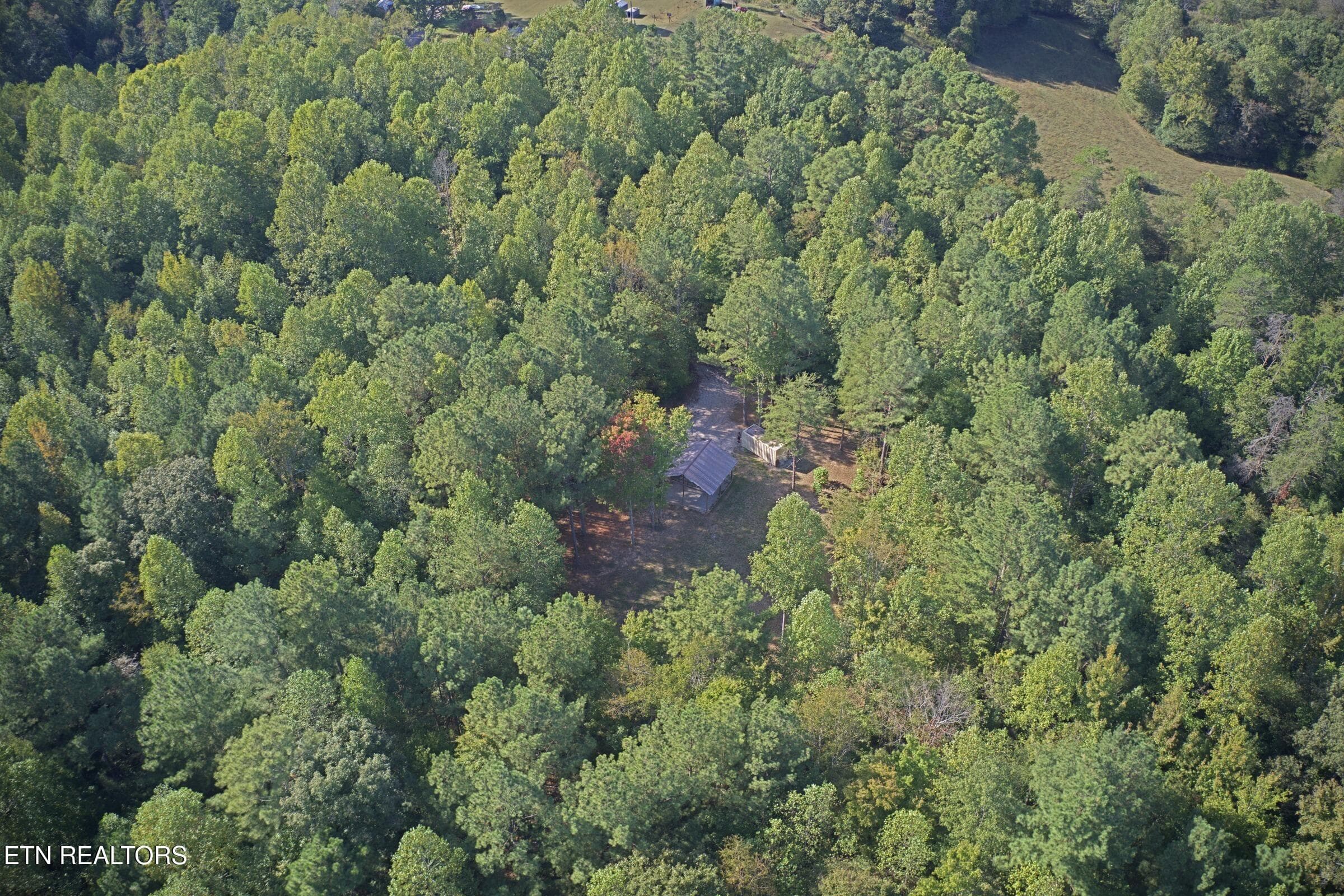 1192_shellotte_13 - 1192 Shellotte Loop Rd, Pall Mall, TN 38577, Pall Mall