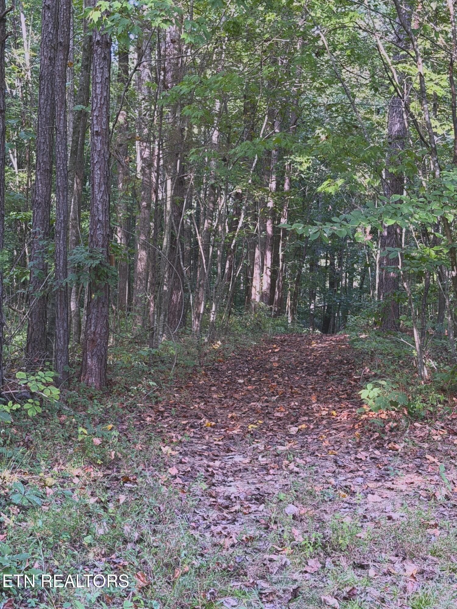 1192_shellotte_28 - 1192 Shellotte Loop Rd, Pall Mall, TN 38577, Pall Mall