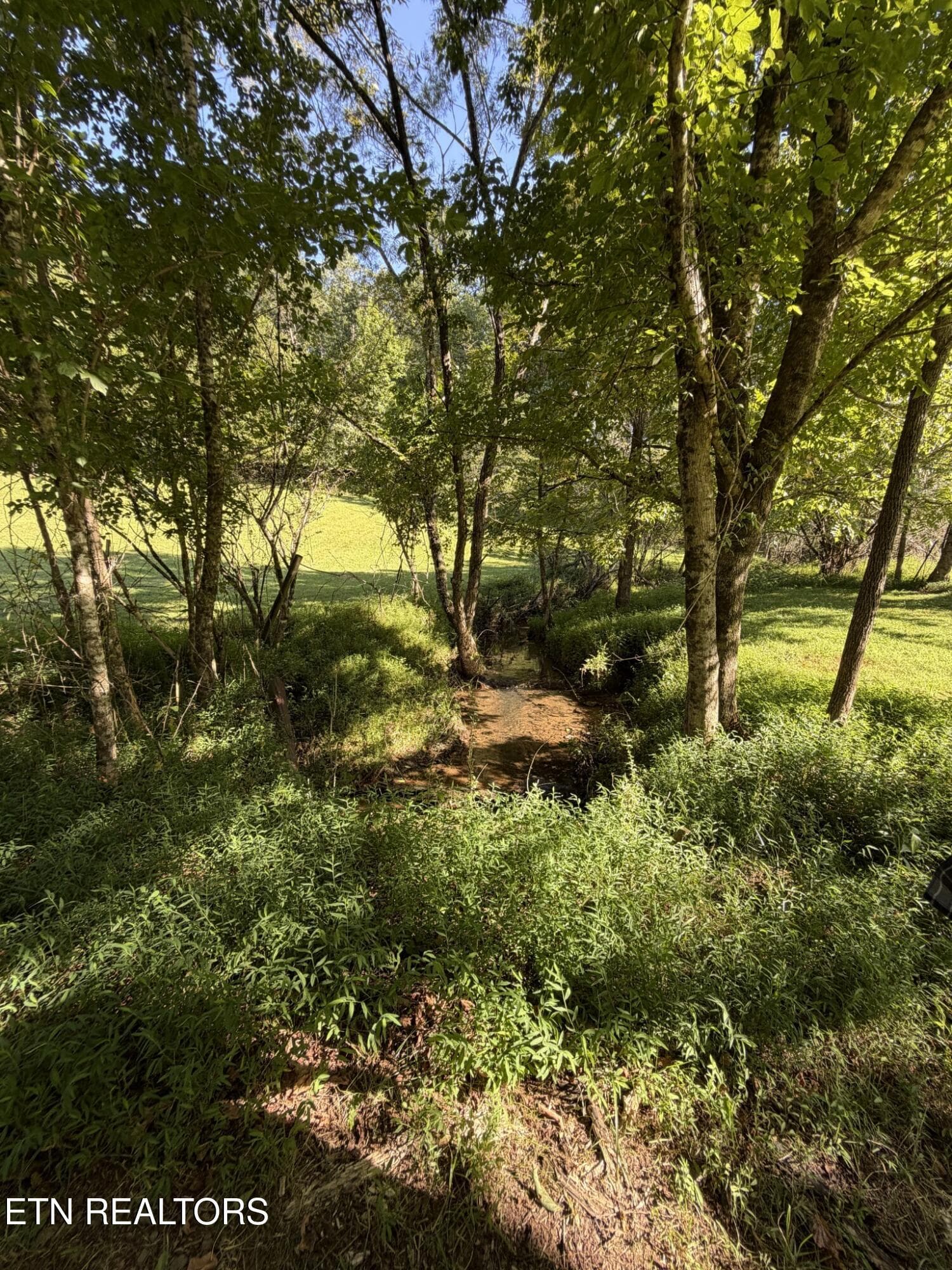 3526619-8 - Big Creek Rd 0, Madisonville, TN 37354, Madisonville