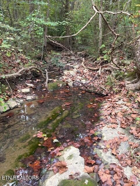 00b3c496-f7b5-4fc3-9bc3-8a4c28ba8f6b - Gadson Lane, Powell, TN 37849, Powell