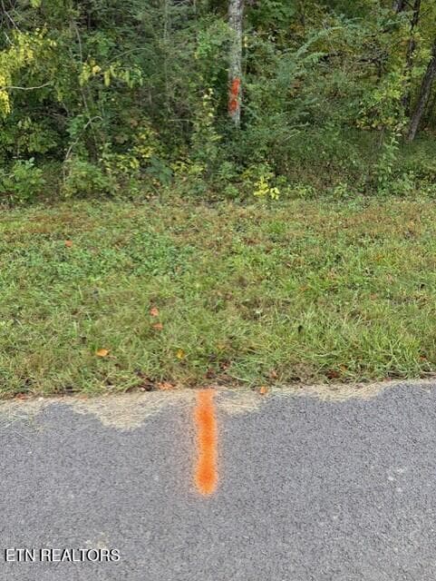 2d8cd63d-6f0d-4907-bd85-9c445db1f774 - Gadson Lane, Powell, TN 37849, Powell