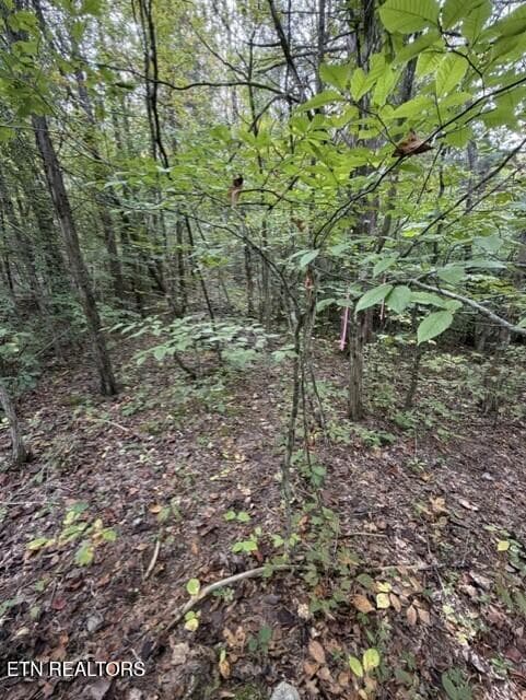 2d9a15e0-ce41-4175-950b-35561b399be8 - Gadson Lane, Powell, TN 37849, Powell