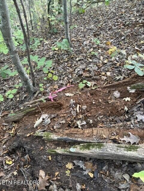 3c2dd15d-1c51-447d-84c0-776d35d9d348 - Gadson Lane, Powell, TN 37849, Powell