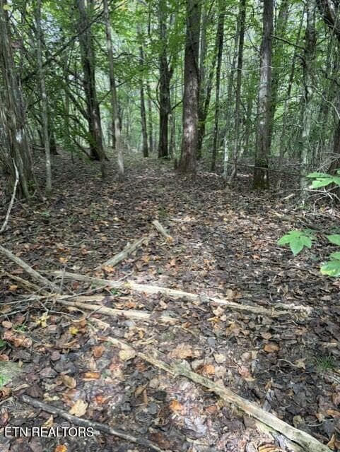 8e07d3a2-3df2-4972-94ed-db1c2ee0a155 - Gadson Lane, Powell, TN 37849, Powell