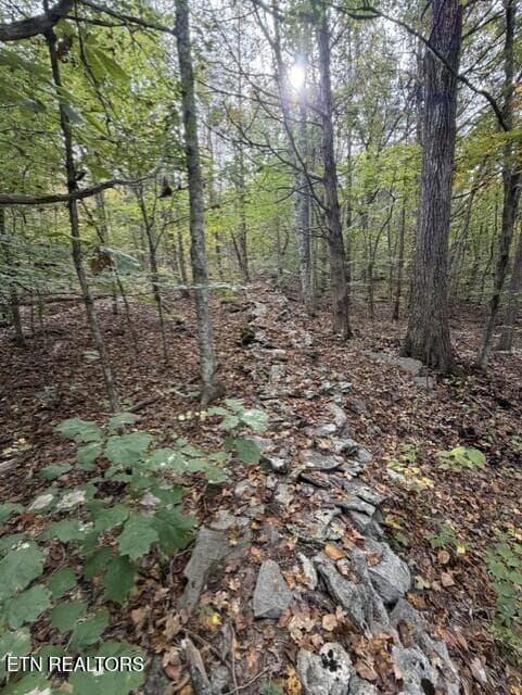 09f7c8f0-c966-4fa9-91e7-e689a2c719d2 - Gadson Lane, Powell, TN 37849, Powell