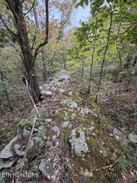 902c420d-2281-485e-bccd-47962a4b8c77 - Gadson Lane, Powell, TN 37849, Powell
