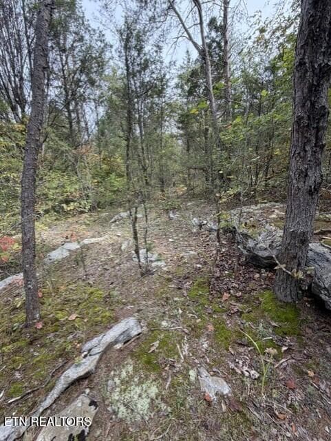 694687d9-7743-4676-8dc4-5fdd275a85ba - Gadson Lane, Powell, TN 37849, Powell