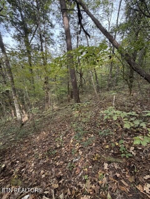 bfbd0070-819c-4c3e-9e3d-46b0a773bf8f - Gadson Lane, Powell, TN 37849, Powell