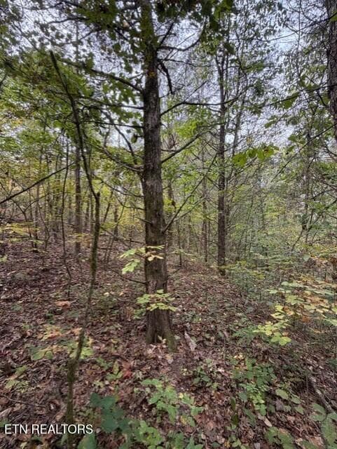 d0b8117d-4ba0-4309-b2c0-f59e7dcfe493 - Gadson Lane, Powell, TN 37849, Powell