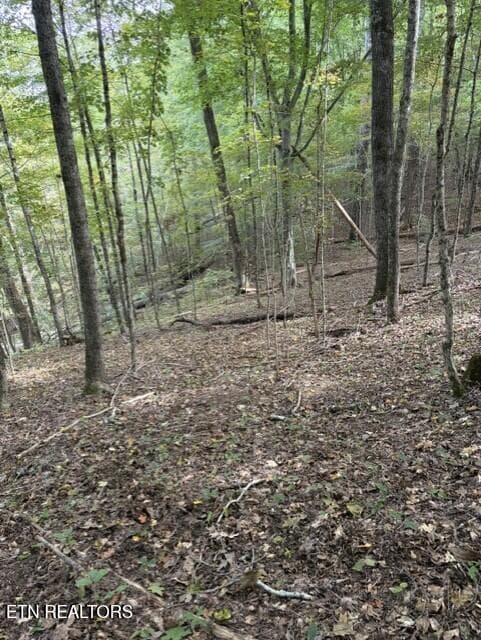 db25b0dc-c0a9-4ced-80ac-2ca54b01c089 - Gadson Lane, Powell, TN 37849, Powell