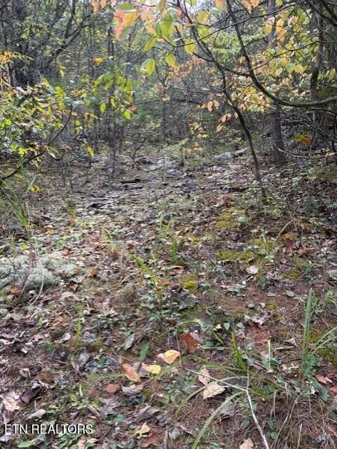 e80cd659-5a48-47ba-bfb4-689576538f88 - Gadson Lane, Powell, TN 37849, Powell