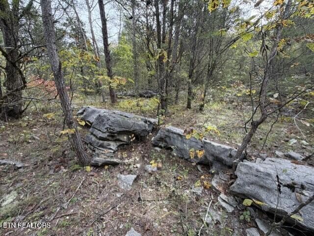 ed467000-e6dc-4158-96b5-1687eb770585 - Gadson Lane, Powell, TN 37849, Powell