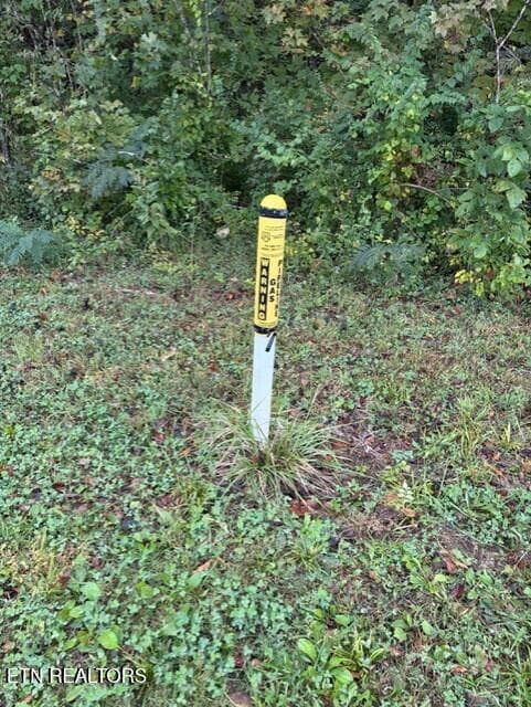 f4ea8901-c195-48c4-acaa-1d7c5ce72ecf - Gadson Lane, Powell, TN 37849, Powell