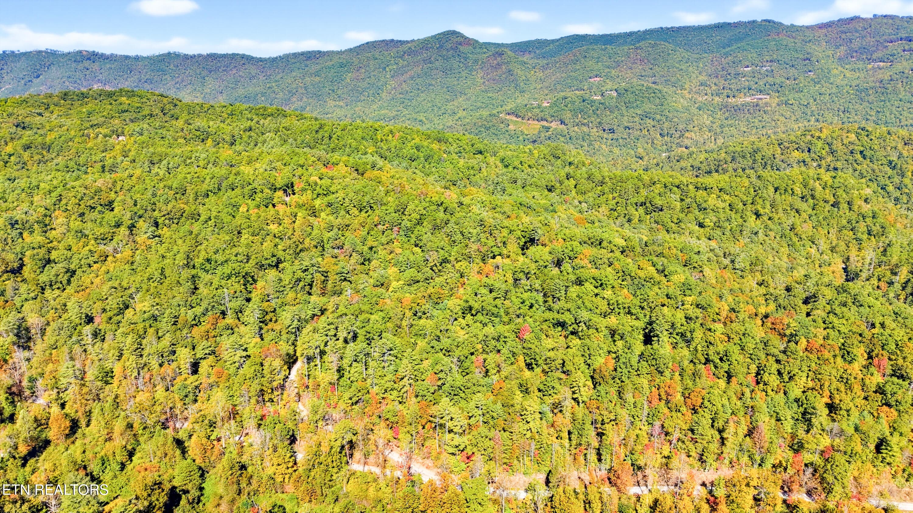 DJI_20261005120454_0268_D-2 - 1840 Oakwood Rd, Walland, TN 37886, Walland