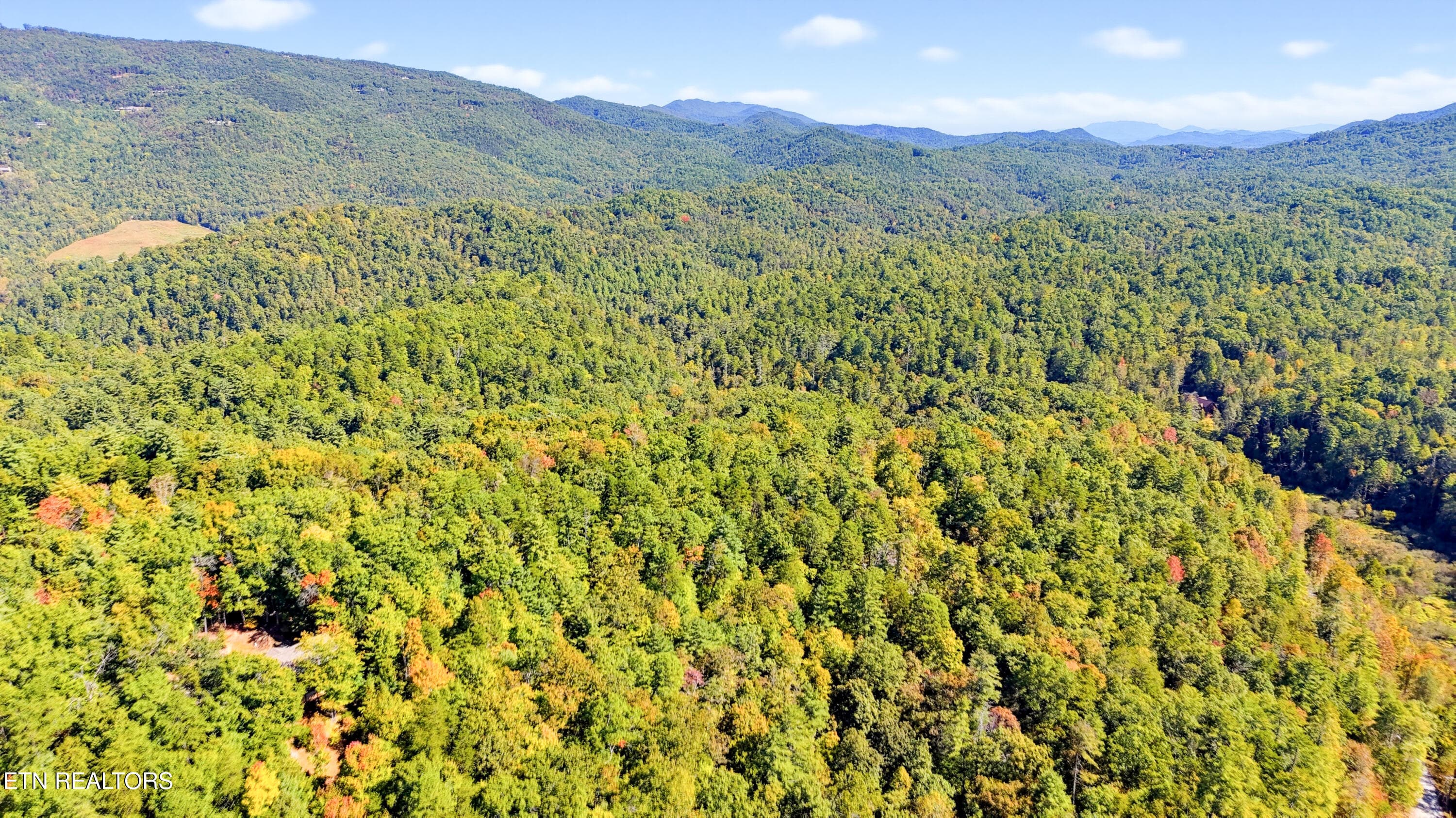 DJI_20261005120300_0253_D-2 - 1840 Oakwood Rd, Walland, TN 37886, Walland
