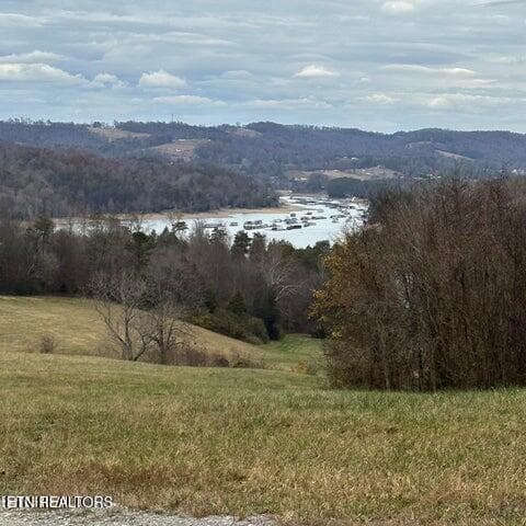 Duffy lake 6 - Bob Wright Rd, Maynardville, TN 37807, Maynardville