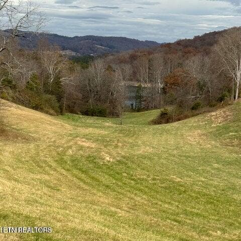 Duffy rolling 2 - Bob Wright Rd, Maynardville, TN 37807, Maynardville