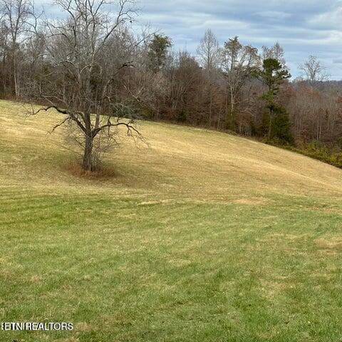 Duffy rolling 1 - Bob Wright Rd, Maynardville, TN 37807, Maynardville