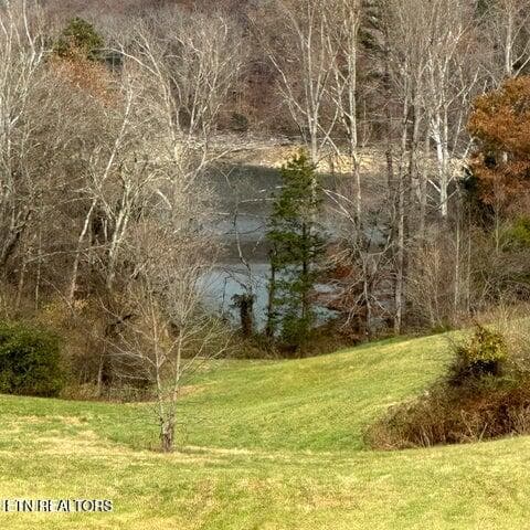 Duffy Waterfront - Bob Wright Rd, Maynardville, TN 37807, Maynardville