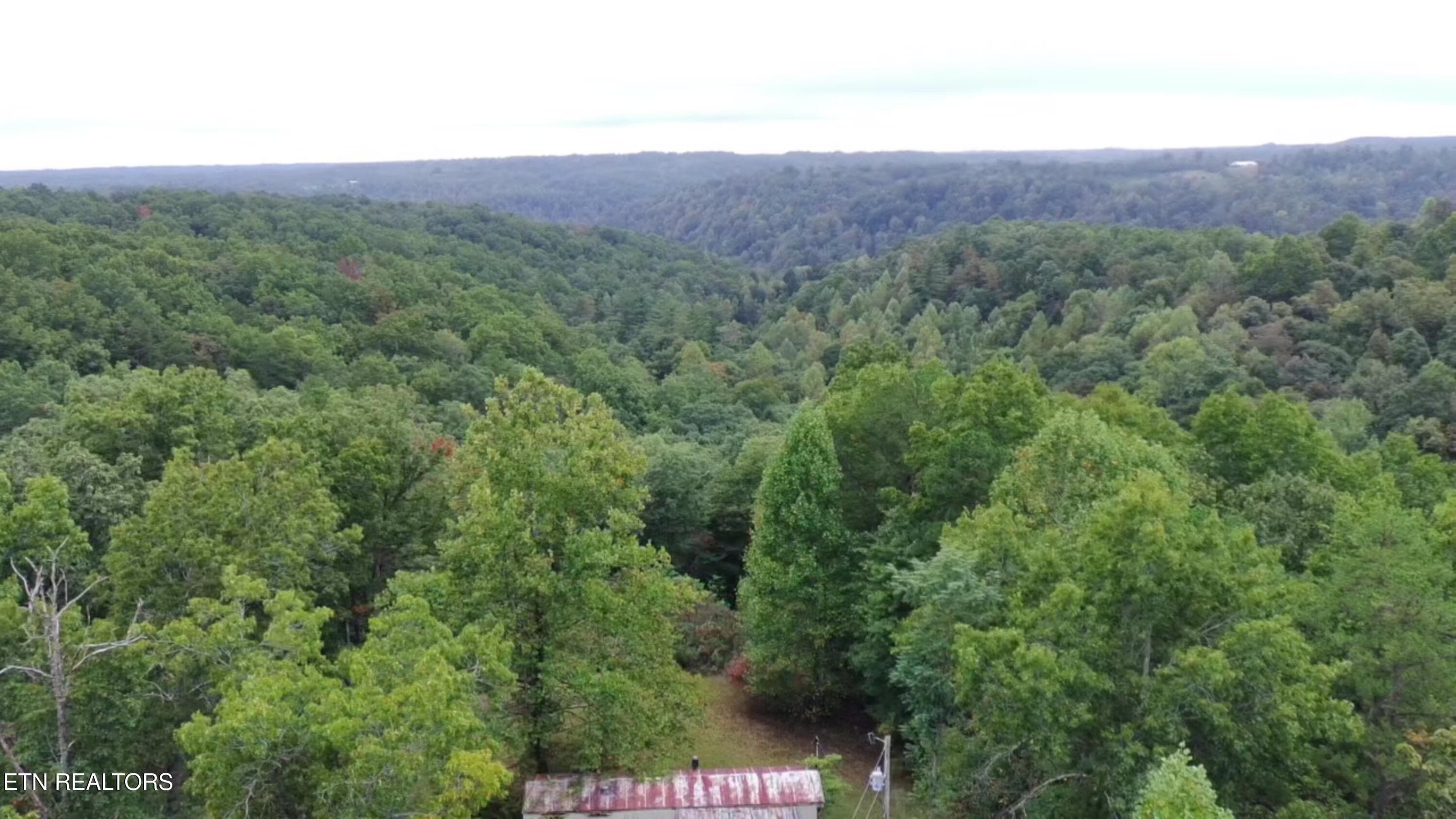 Hillbilly 5 - 182 Hillbilly Lane, Crawford, TN 38554, Crawford