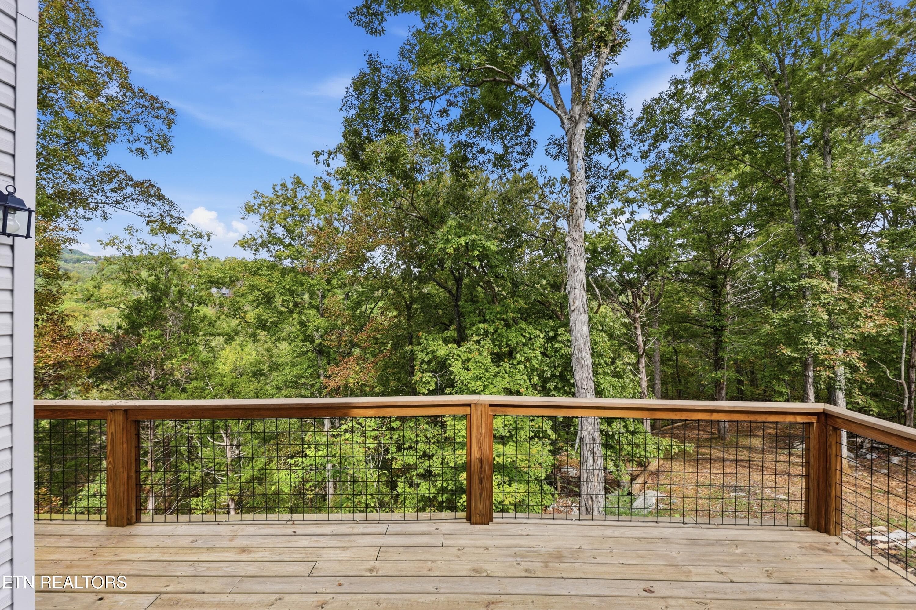 10-317A8969 - 134 Fairway Circle, Townsend, TN 37882, Townsend
