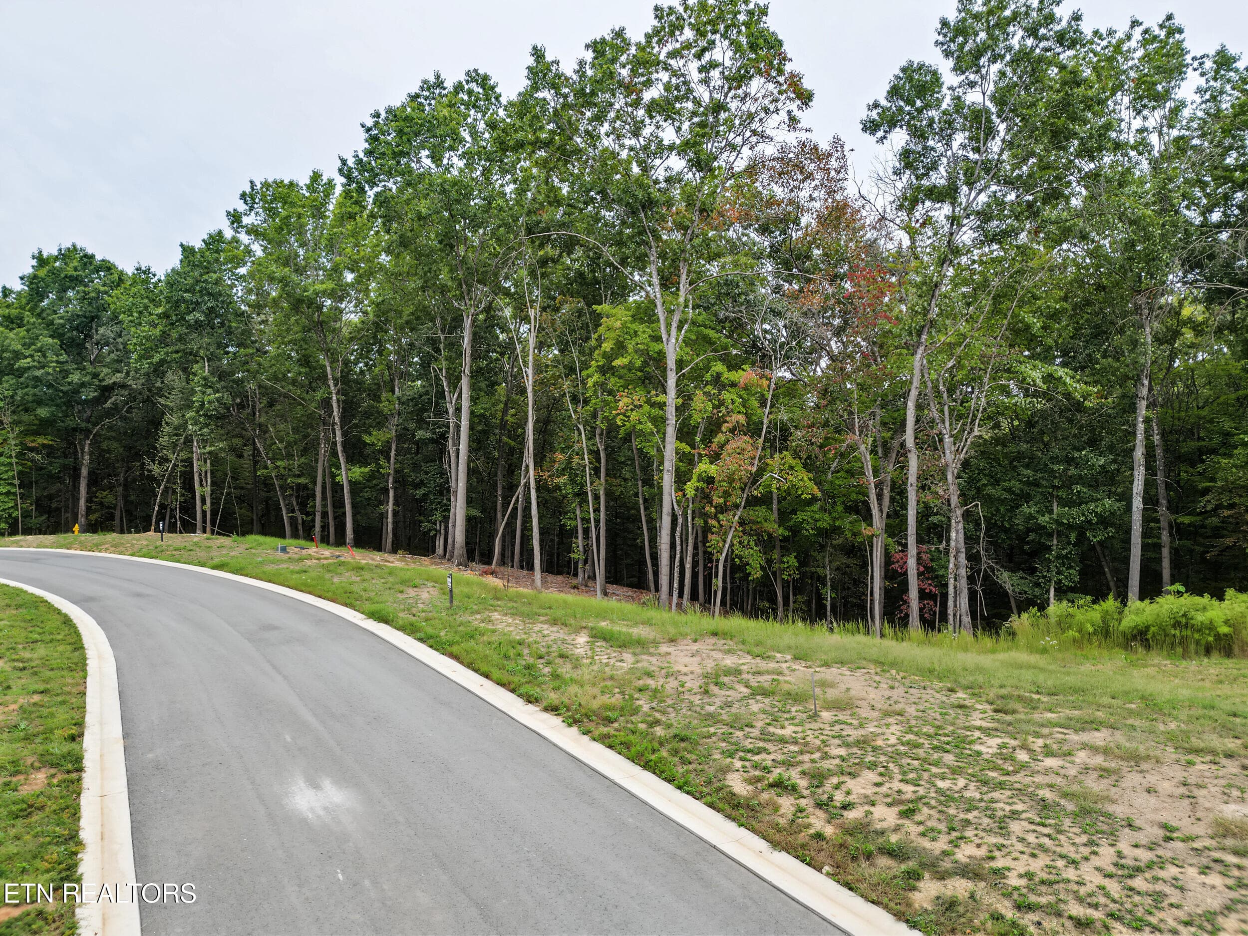 15_dji_0090.restaged - 239 Flip Flop Way, Loudon, TN 37774, Loudon